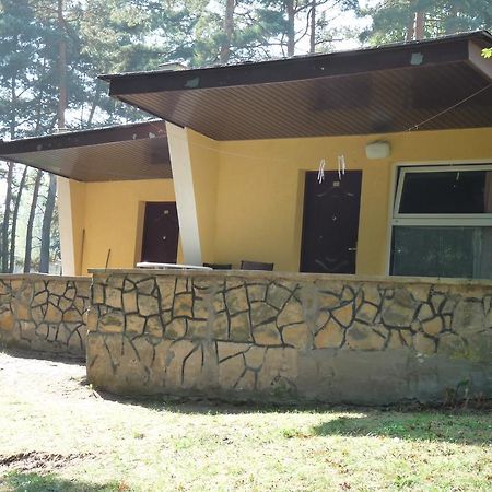 Osrodek Wypoczynkowy Jelonek Hotel Wolsztyn Exterior photo